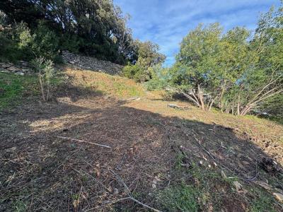 For sale Brando 1259 m2 Corse (20222) photo 1