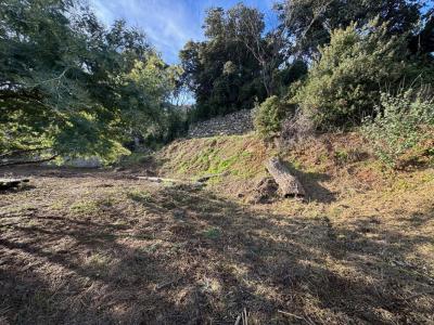 For sale Brando 1259 m2 Corse (20222) photo 2