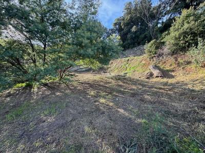 For sale Brando 1259 m2 Corse (20222) photo 3