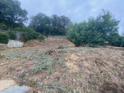 For sale Brando 1259 m2 Corse (20222) photo 4