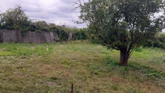Annonce Vente Terrain Epinay-sur-orge 91