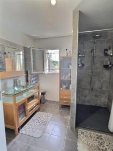Acheter Maison Saint-girod 475000 euros