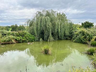 Annonce Vente 6 pi�ces Maison Chezy 03