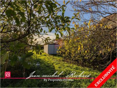 Annonce Vente 5 pi�ces Maison Selles-sur-cher 41