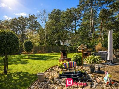 Annonce Vente 7 pi�ces Maison Neufchatel-hardelot 62