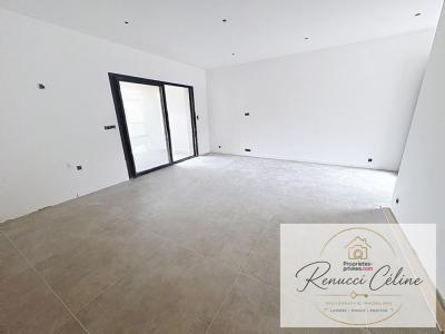 Annonce Vente 3 pi�ces Appartement Pietrosella 20