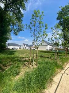 For sale Pluvigner 305 m2 Morbihan (56330) photo 0