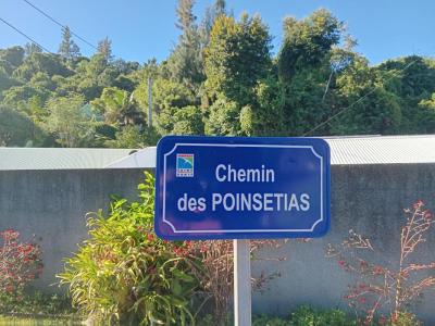 Annonce Vente Terrain Montagne 974