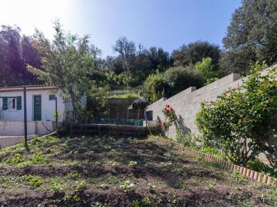Annonce Vente 2 pi�ces Appartement Bousquet-d'orb 34