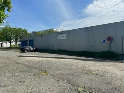 Annonce Location Commerce Bordeaux 33