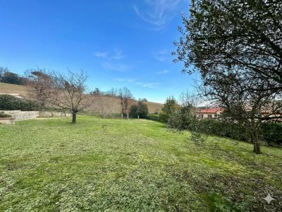 For sale Dremil-lafage 755 m2 Haute garonne (31280) photo 4