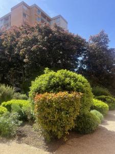 Acheter Appartement Toulouse Haute garonne