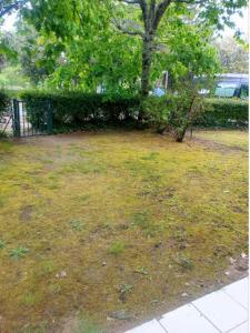 For rent Soulac-sur-mer 1 room 31 m2 Gironde (33780) photo 2