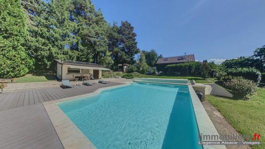 Annonce Vente 7 pi�ces Maison Nayemont-les-fosses 88