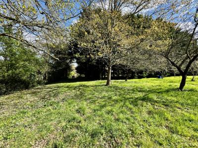 For sale CAMPAGNE 4 rooms 95 m2 Vendee (85150) photo 3