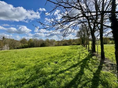 For sale CAMPAGNE 4 rooms 95 m2 Vendee (85150) photo 4