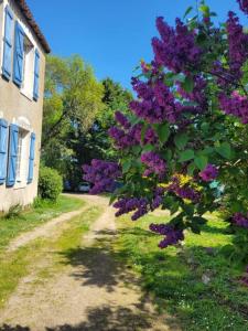 Annonce Vente 7 pi�ces Maison Barbechat 44