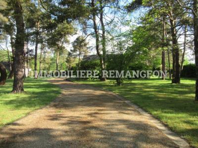 Annonce Vente Prestige Menestreau-en-villette 45