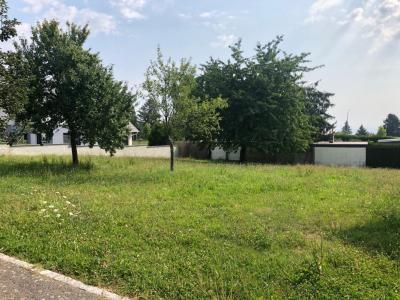 Annonce Vente 6 pi�ces Maison Folgensbourg 68