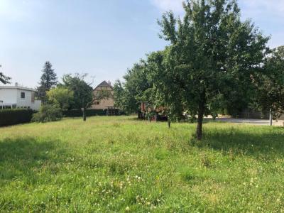 Annonce Vente 5 pi�ces Maison Folgensbourg 68