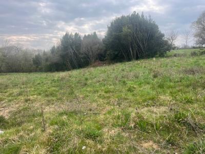For sale Sadirac 982 m2 Gironde (33670) photo 0