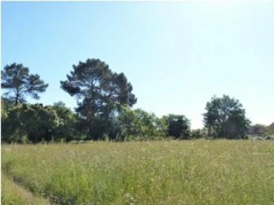 For sale Camblanes-et-meynac 905 m2 Gironde (33360) photo 0