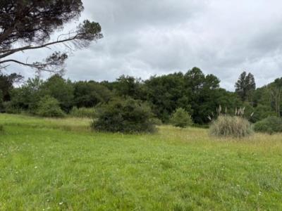 Annonce Vente Terrain Fargues-saint-hilaire 33