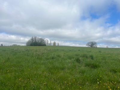 For sale Carignan-de-bordeaux 1125 m2 Gironde (33360) photo 0