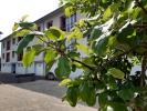 For rent Apartment Faucogney-et-la-mer  69 m2 3 pieces