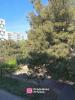 Vente Appartement Marseille-13eme-arrondissement  3 pieces 48 m2