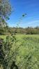 For sale Land Bouxieres-aux-chenes  446 m2