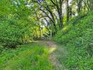 Vente Terrain Tourrettes  4000 m2