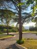 Vente Prestige Montelimar  18 pieces 500 m2