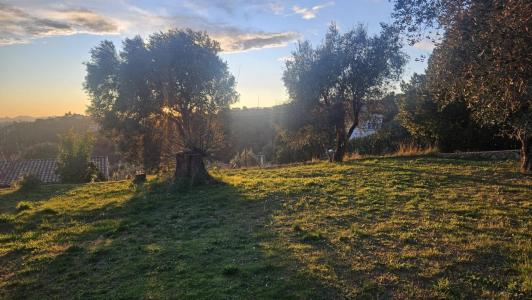 For sale Nice 463 m2 Alpes Maritimes (06000) photo 1