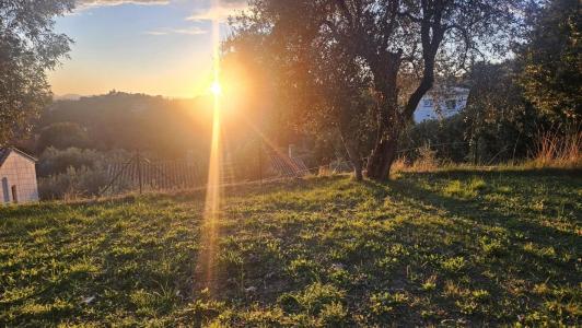 For sale Nice 463 m2 Alpes Maritimes (06000) photo 3