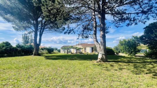 For sale Saint-martin-de-crau 6 rooms 134 m2 Bouches du Rhone (13310) photo 0