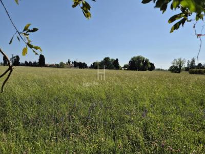 For sale Arles 4 rooms Bouches du Rhone (13200) photo 3