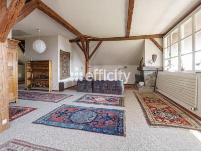 Acheter Maison 201 m2 Lucinges