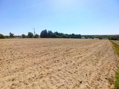 Annonce Vente Terrain Ablancourt 51