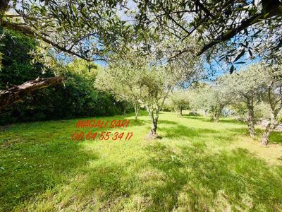 Acheter Terrain 7617 m2 Saint-julien-les-rosiers