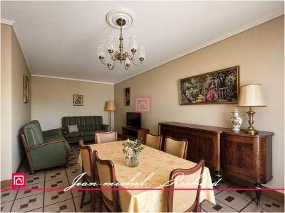 Annonce Vente 7 pi�ces Maison Chatillon-sur-cher 41