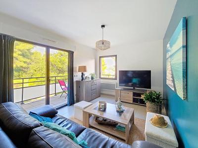 Annonce Vente 3 pi�ces Appartement Hyeres 83