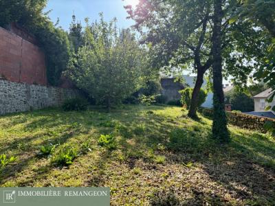 Acheter Maison 295 m2 Vierzon