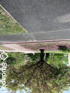 Annonce Location Appartement Evry 91