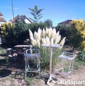 Annonce Location 2 pi�ces Appartement Bourg-en-bresse 01