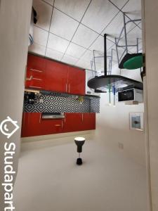 Annonce Location Appartement Schiltigheim 67