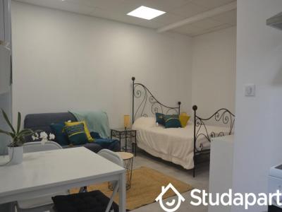 For rent Dijon 1 room 30 m2 Cote d'or (21000) photo 2