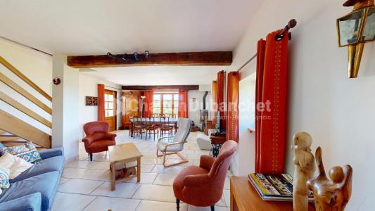 Annonce Vente 7 pi�ces Maison Bussieres 42