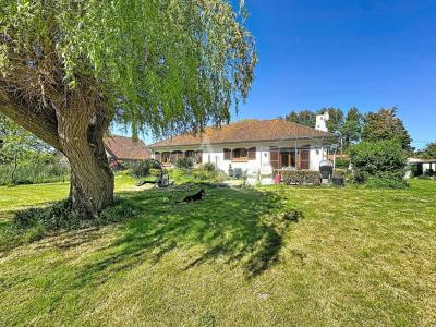 Annonce Vente 5 pi�ces Maison Guines 62