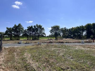 For sale Champtoceaux OREE-D'ANJOU 310 m2 Maine et loire (49270) photo 2